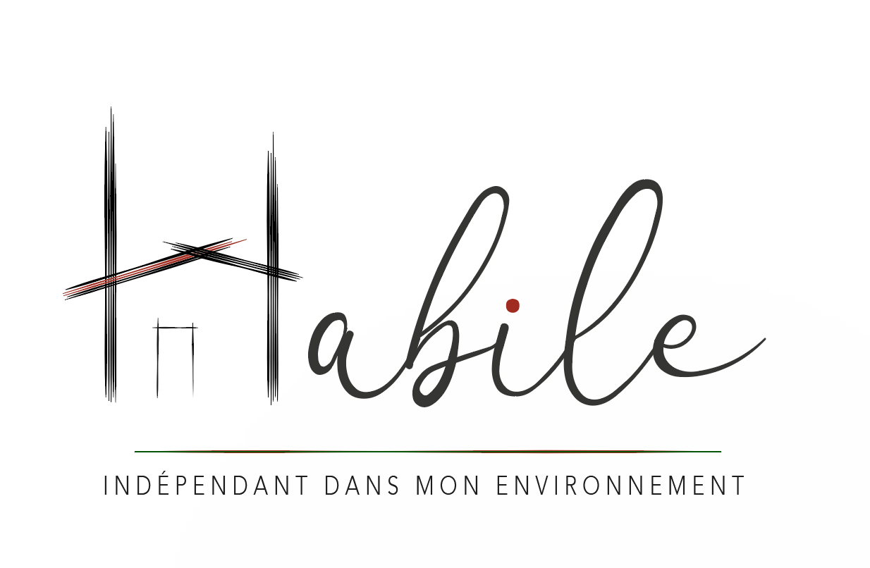 Habile indépendant dans mon logement ; réhabilitation et aménagement ; perte d'autonomie ; senior ; handicap