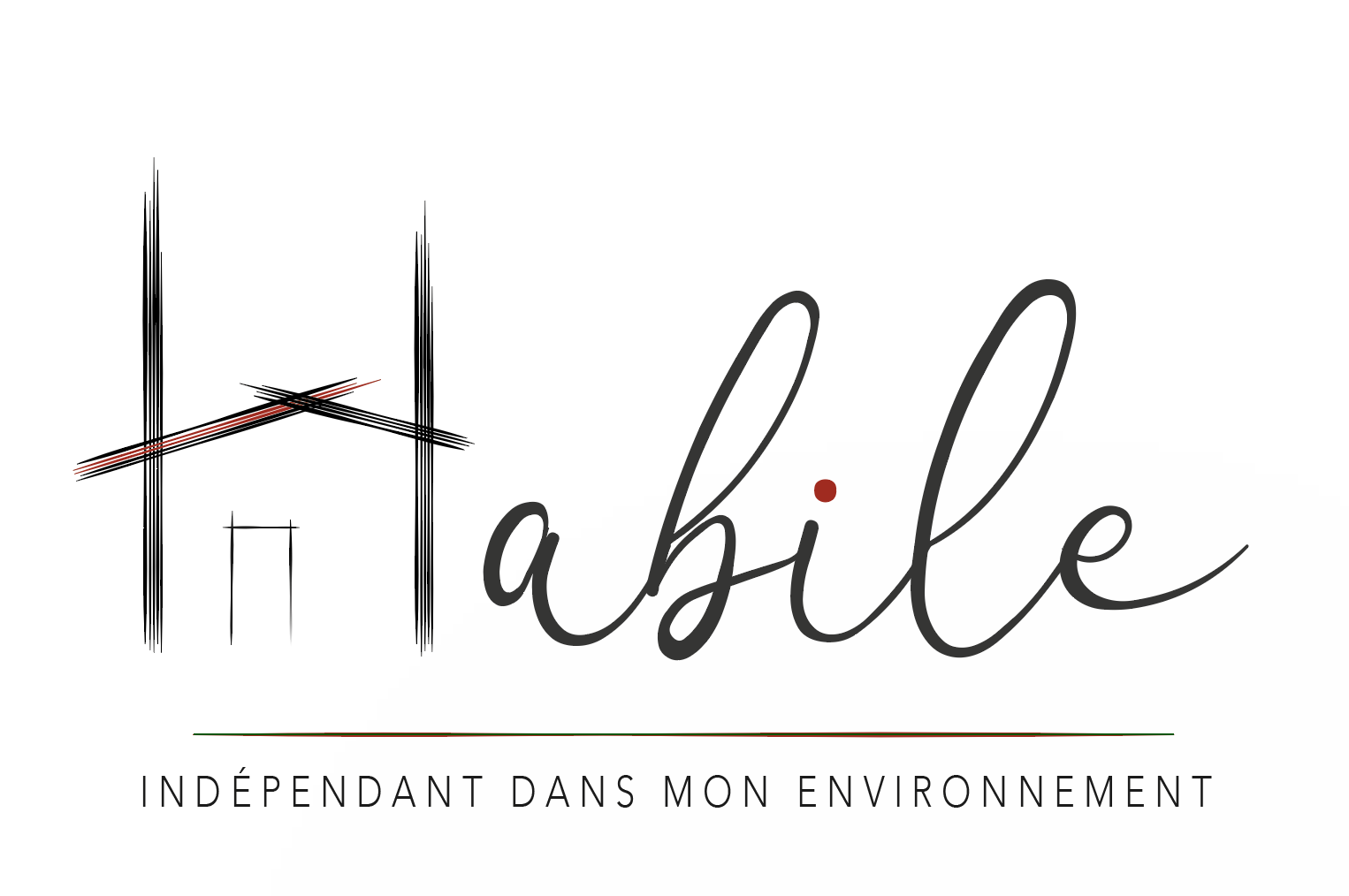Habile indépendant dans mon logement ; réhabilitation et aménagement ; perte d'autonomie ; senior ; handicap