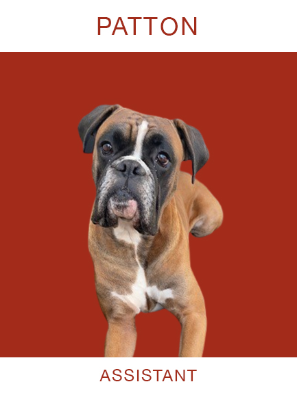 Habile assistant accessibilité handicapé, norme accès pmr en vigueur, diagnostic accessibilité, notice accessibilité, registre accessibilité