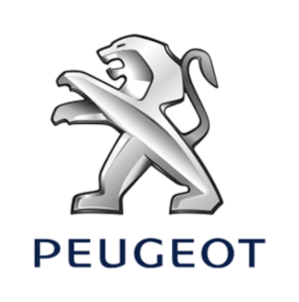 Peugeot accessibilité ERP PMR